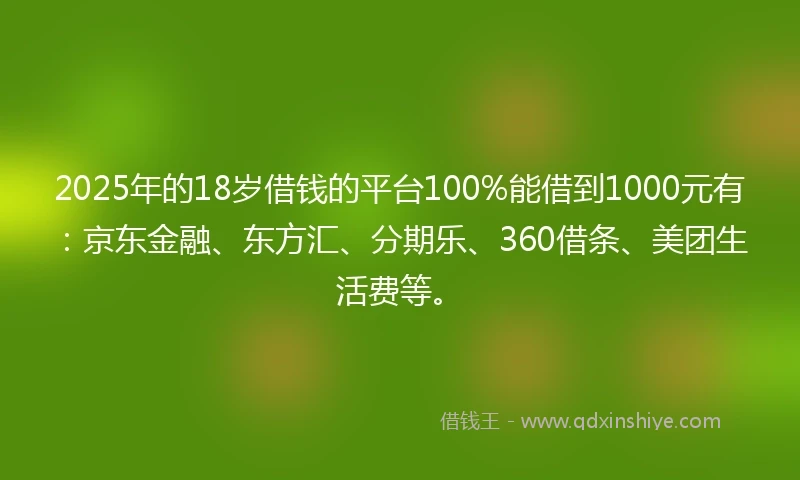 2025年的18岁借钱的平台100%能借到1000元有：京东金融、东方汇、分期乐、360借条、美团生活费等。