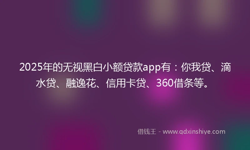 2025年的无视黑白小额贷款app有：你我贷、滴水贷、融逸花、信用卡贷、360借条等。