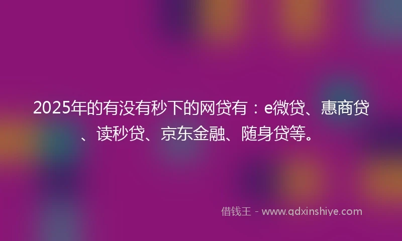 2025年的有没有秒下的网贷有：e微贷、惠商贷、读秒贷、京东金融、随身贷等。