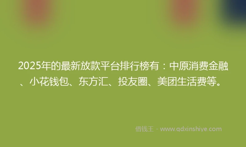 2025年的最新放款平台排行榜有：中原消费金融、小花钱包、东方汇、投友圈、美团生活费等。