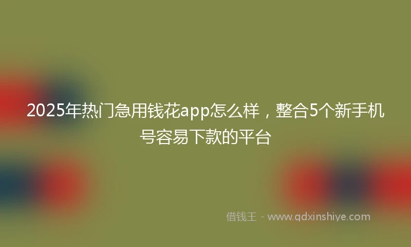2025年热门急用钱花app怎么样，整合5个新手机号容易下款的平台