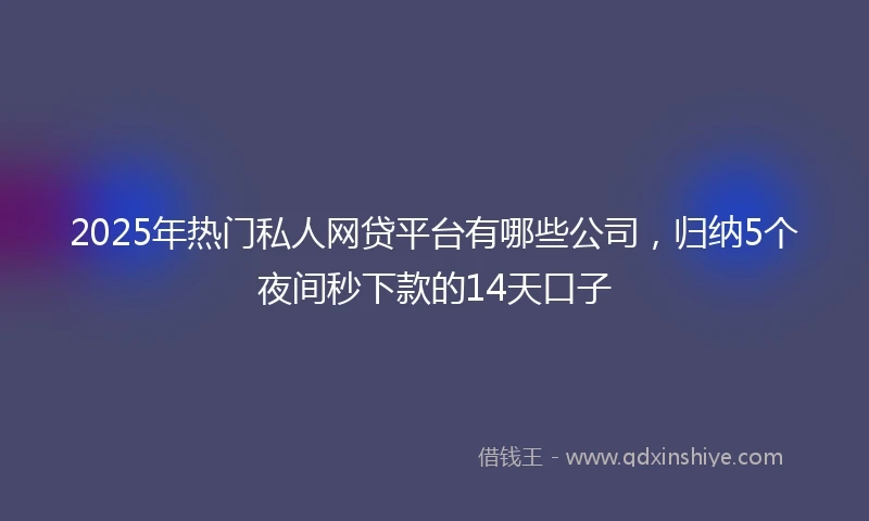2025年热门私人网贷平台有哪些公司，归纳5个夜间秒下款的14天口子