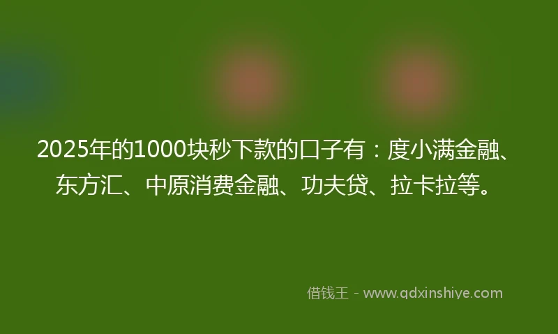 2025年的1000块秒下款的口子有：度小满金融、东方汇、中原消费金融、功夫贷、拉卡拉等。