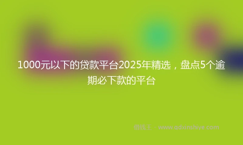 1000元以下的贷款平台2025年精选，盘点5个逾期必下款的平台