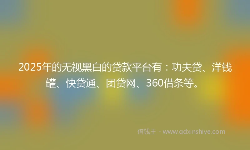 2025年的无视黑白的贷款平台有：功夫贷、洋钱罐、快贷通、团贷网、360借条等。