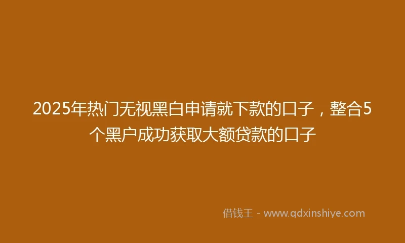 2025年热门无视黑白申请就下款的口子，整合5个黑户成功获取大额贷款的口子