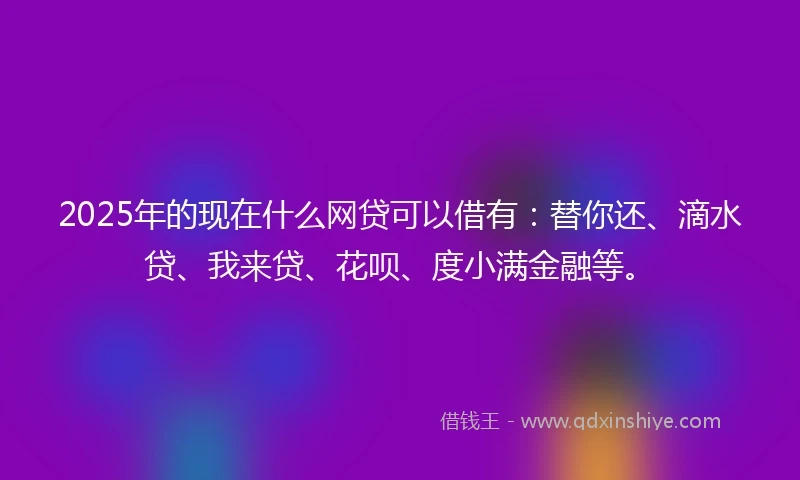 2025年的现在什么网贷可以借有：替你还、滴水贷、我来贷、花呗、度小满金融等。