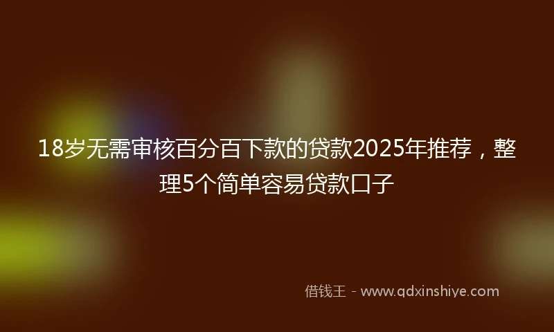 18岁无需审核百分百下款的贷款2025年推荐，整理5个简单容易贷款口子