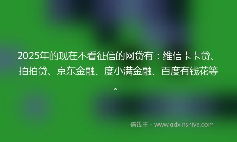 2025年的现在不看征信的网贷有：维信卡卡贷、拍拍贷、京东金融、度小满金融、百度有钱花等。