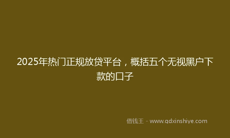 2025年热门正规放贷平台，概括五个无视黑户下款的口子
