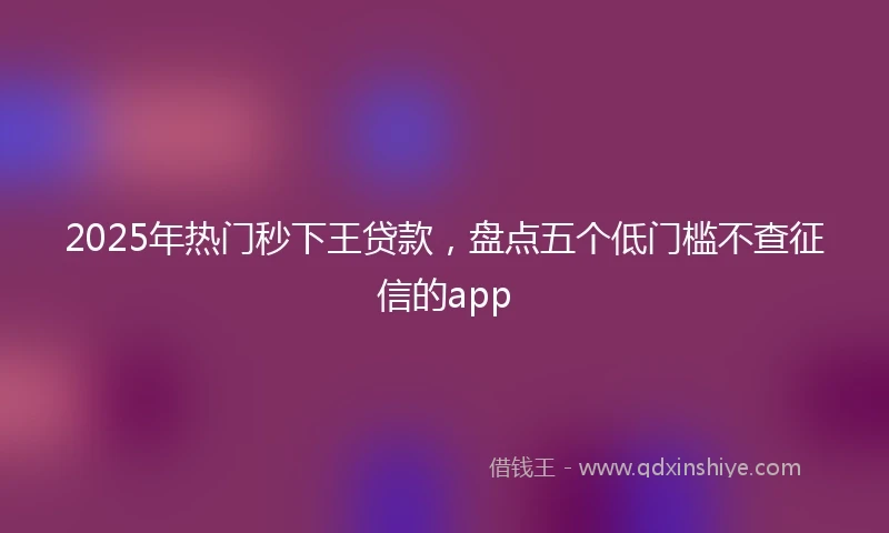 2025年热门秒下王贷款，盘点五个低门槛不查征信的app