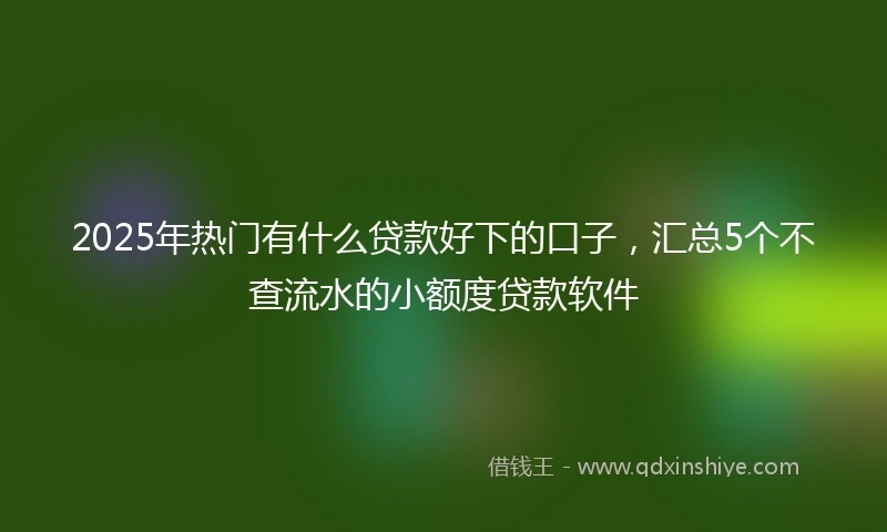 2025年热门有什么贷款好下的口子，汇总5个不查流水的小额度贷款软件