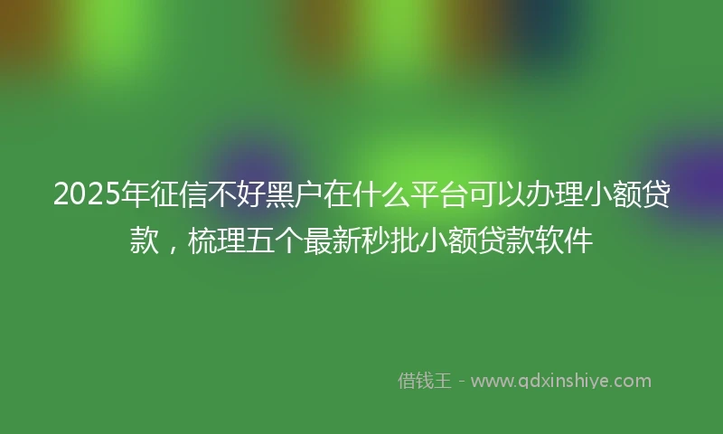 2025年征信不好黑户在什么平台可以办理小额贷款，梳理五个最新秒批小额贷款软件