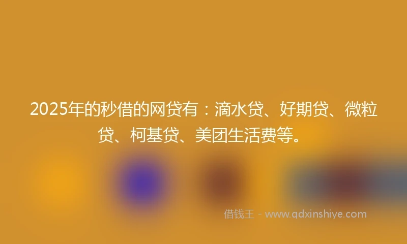 2025年的秒借的网贷有：滴水贷、好期贷、微粒贷、柯基贷、美团生活费等。