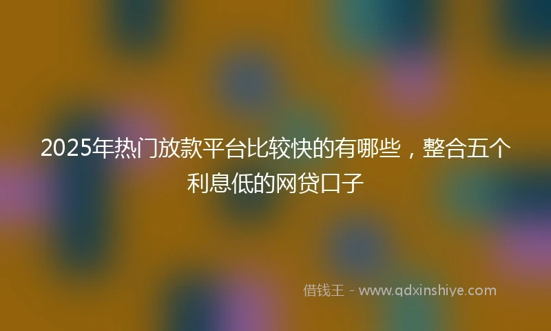 2025年热门放款平台比较快的有哪些，整合五个利息低的网贷口子