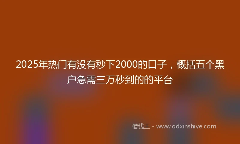 2025年热门有没有秒下2000的口子，概括五个黑户急需三万秒到的的平台