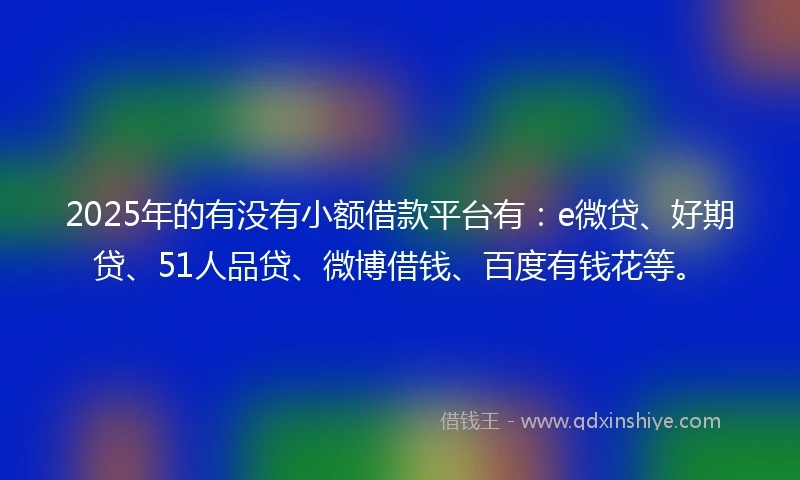 2025年的有没有小额借款平台有：e微贷、好期贷、51人品贷、微博借钱、百度有钱花等。