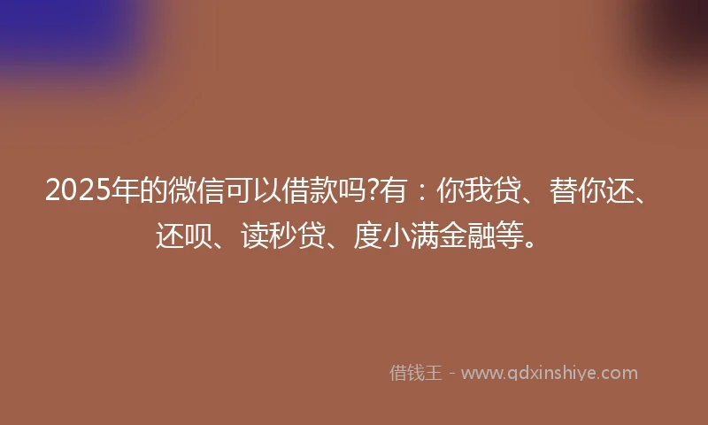 2025年的微信可以借款吗?有：你我贷、替你还、还呗、读秒贷、度小满金融等。