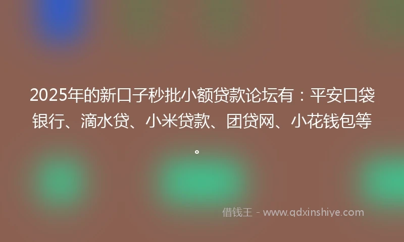 2025年的新口子秒批小额贷款论坛有：平安口袋银行、滴水贷、小米贷款、团贷网、小花钱包等。