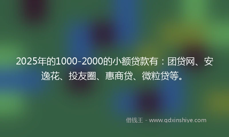 2025年的1000-2000的小额贷款有：团贷网、安逸花、投友圈、惠商贷、微粒贷等。