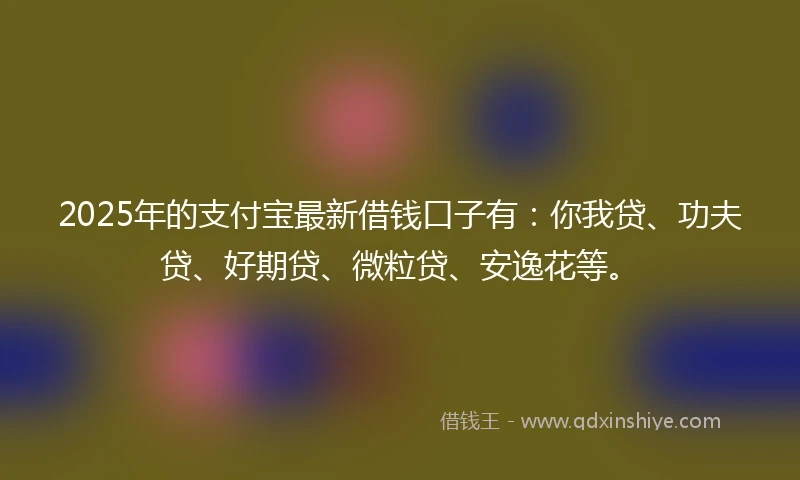 2025年的支付宝最新借钱口子有：你我贷、功夫贷、好期贷、微粒贷、安逸花等。