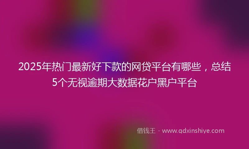 2025年热门最新好下款的网贷平台有哪些，总结5个无视逾期大数据花户黑户平台