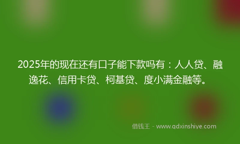 2025年的现在还有口子能下款吗有：人人贷、融逸花、信用卡贷、柯基贷、度小满金融等。