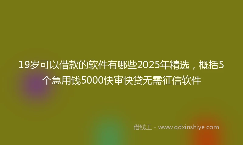 19岁可以借款的软件有哪些2025年精选，概括5个急用钱5000快审快贷无需征信软件