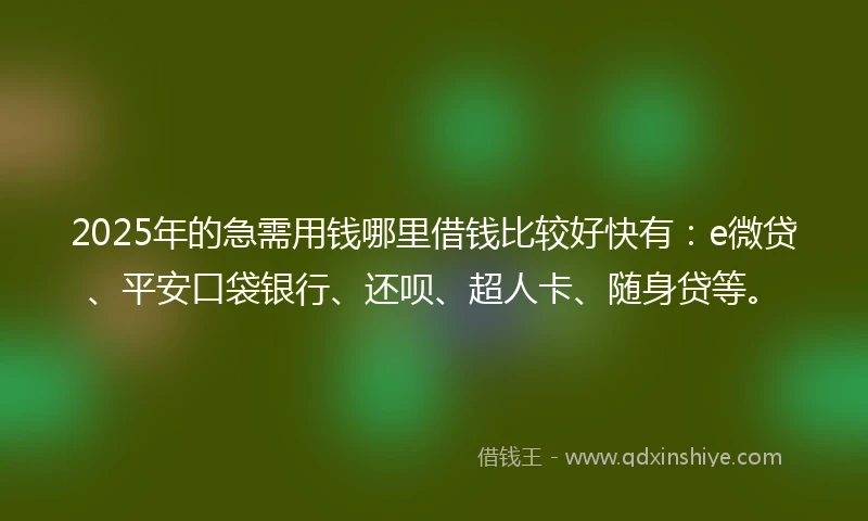 2025年的急需用钱哪里借钱比较好快有：e微贷、平安口袋银行、还呗、超人卡、随身贷等。