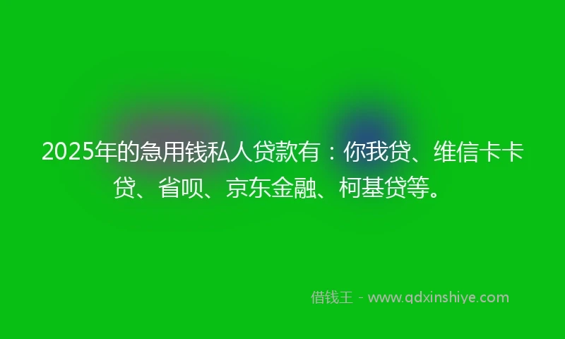 2025年的急用钱私人贷款有：你我贷、维信卡卡贷、省呗、京东金融、柯基贷等。