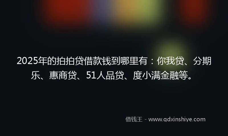 2025年的拍拍贷借款钱到哪里有：你我贷、分期乐、惠商贷、51人品贷、度小满金融等。