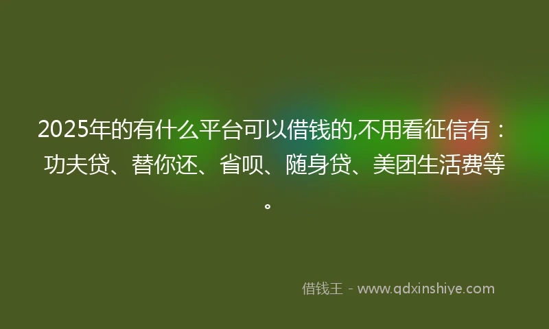 2025年的有什么平台可以借钱的,不用看征信有：功夫贷、替你还、省呗、随身贷、美团生活费等。