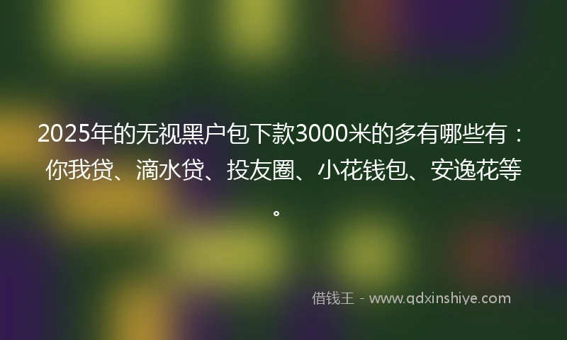 2025年的无视黑户包下款3000米的多有哪些有：你我贷、滴水贷、投友圈、小花钱包、安逸花等。