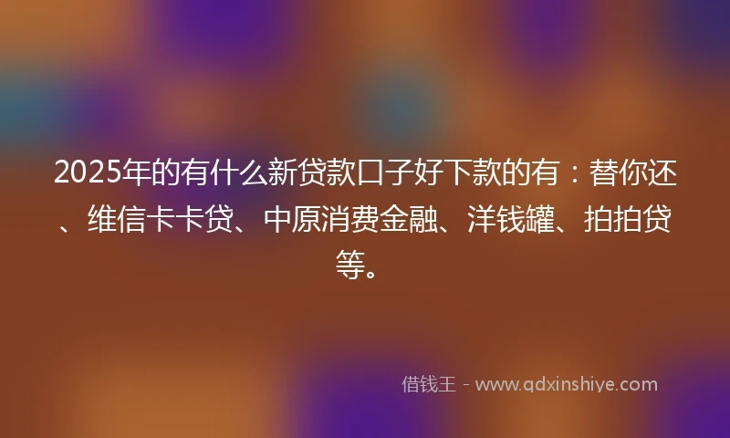 2025年的有什么新贷款口子好下款的有：替你还、维信卡卡贷、中原消费金融、洋钱罐、拍拍贷等。