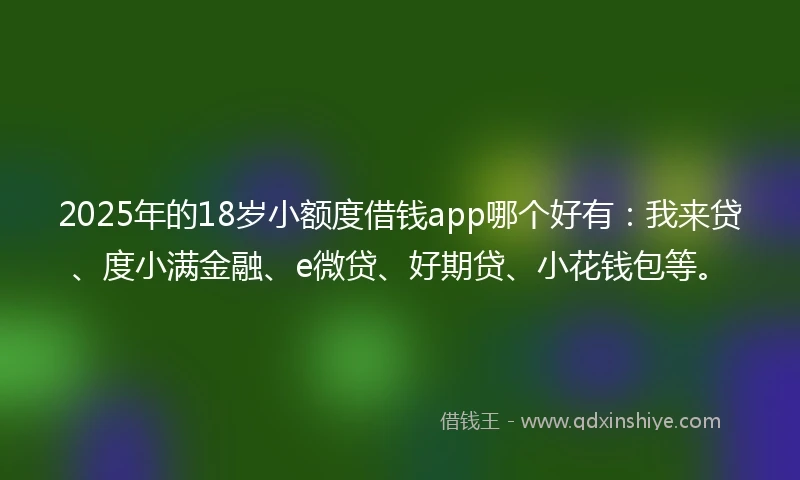 2025年的18岁小额度借钱app哪个好有：我来贷、度小满金融、e微贷、好期贷、小花钱包等。