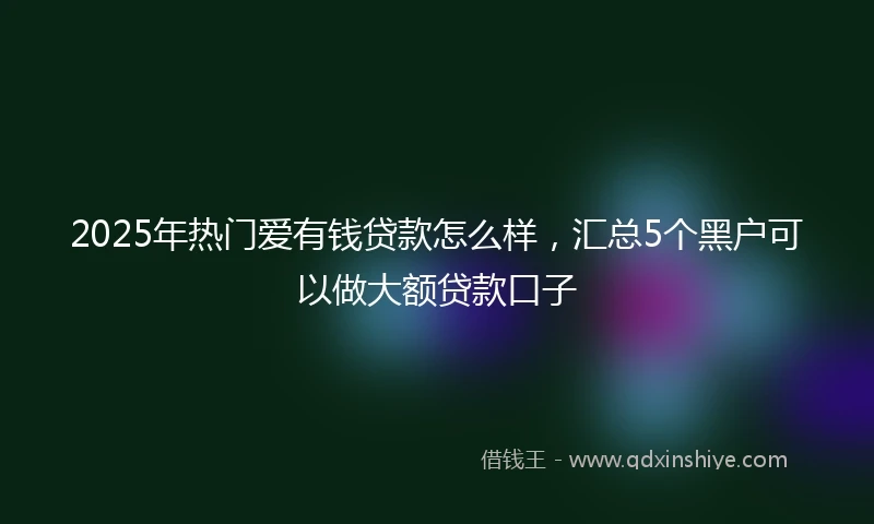 2025年热门爱有钱贷款怎么样，汇总5个黑户可以做大额贷款口子