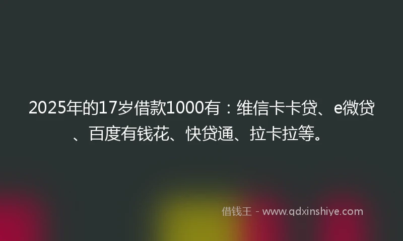 2025年的17岁借款1000有：维信卡卡贷、e微贷、百度有钱花、快贷通、拉卡拉等。
