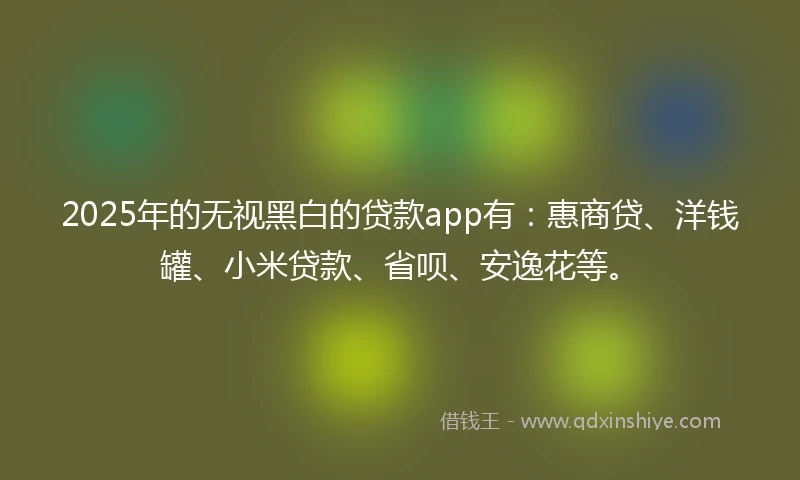 2025年的无视黑白的贷款app有：惠商贷、洋钱罐、小米贷款、省呗、安逸花等。