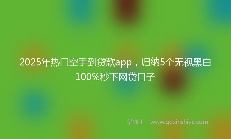 2025年热门空手到贷款app，归纳5个无视黑白100%秒下网贷口子