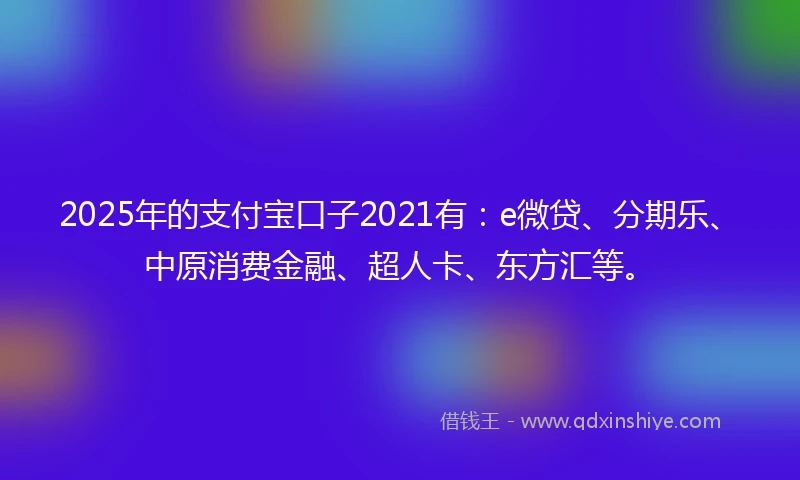 2025年的支付宝口子2021有：e微贷、分期乐、中原消费金融、超人卡、东方汇等。