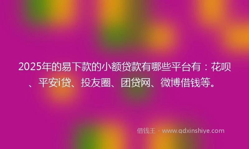 2025年的易下款的小额贷款有哪些平台有：花呗、平安i贷、投友圈、团贷网、微博借钱等。