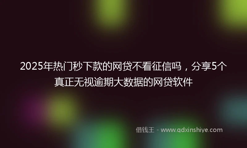 2025年热门秒下款的网贷不看征信吗，分享5个真正无视逾期大数据的网贷软件