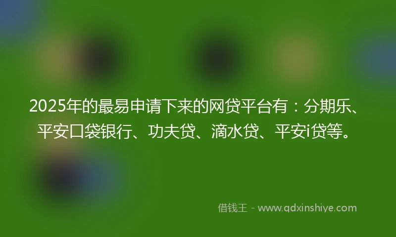 2025年的最易申请下来的网贷平台有：分期乐、平安口袋银行、功夫贷、滴水贷、平安i贷等。