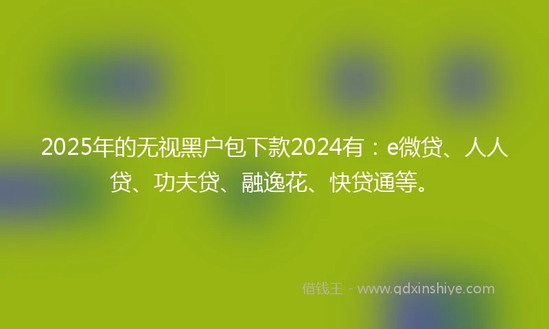 2025年的无视黑户包下款2024有：e微贷、人人贷、功夫贷、融逸花、快贷通等。