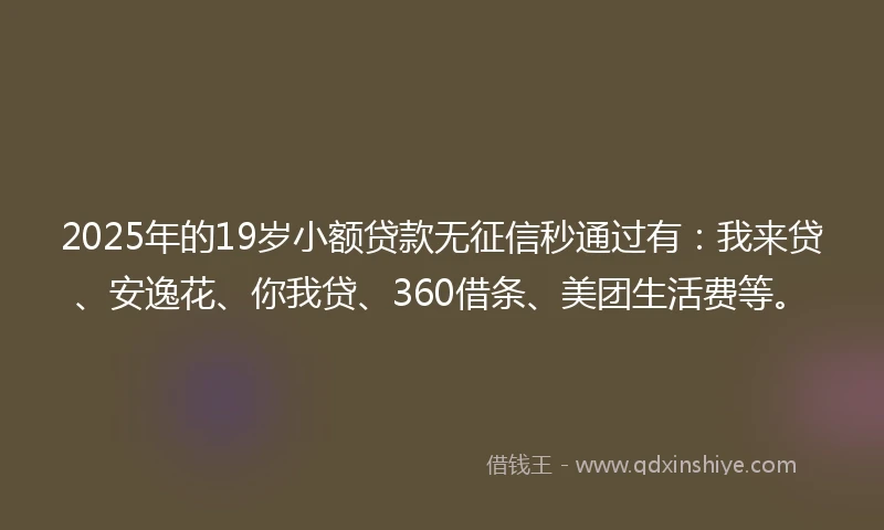2025年的19岁小额贷款无征信秒通过有：我来贷、安逸花、你我贷、360借条、美团生活费等。