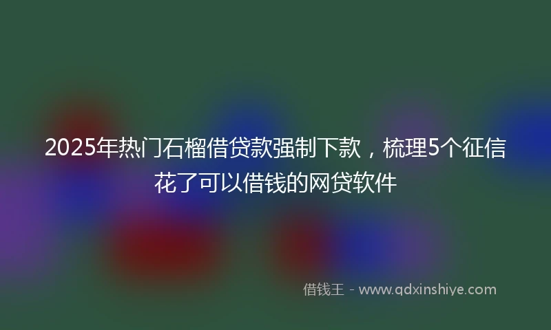 2025年热门石榴借贷款强制下款，梳理5个征信花了可以借钱的网贷软件