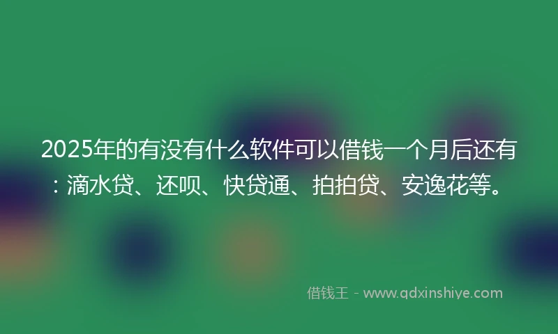 2025年的有没有什么软件可以借钱一个月后还有：滴水贷、还呗、快贷通、拍拍贷、安逸花等。