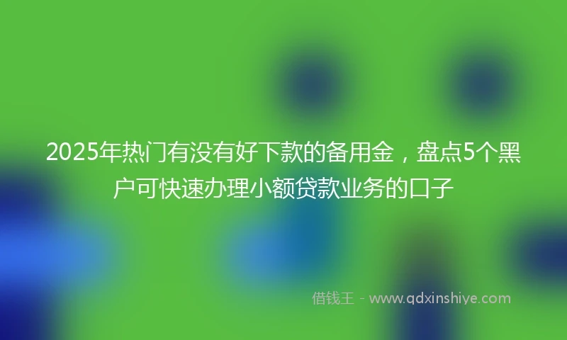 2025年热门有没有好下款的备用金，盘点5个黑户可快速办理小额贷款业务的口子