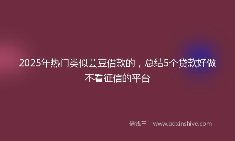 2025年热门类似芸豆借款的，总结5个贷款好做不看征信的平台