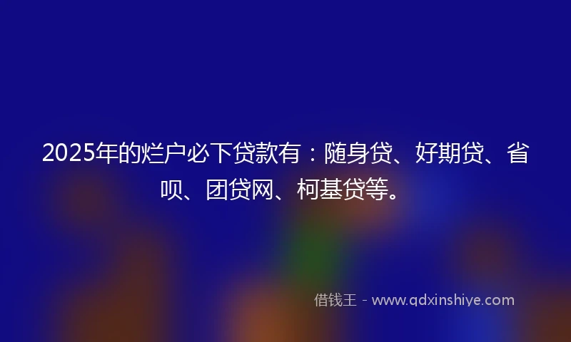 2025年的烂户必下贷款有：随身贷、好期贷、省呗、团贷网、柯基贷等。